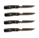 Steven Raichlen Steak Knives